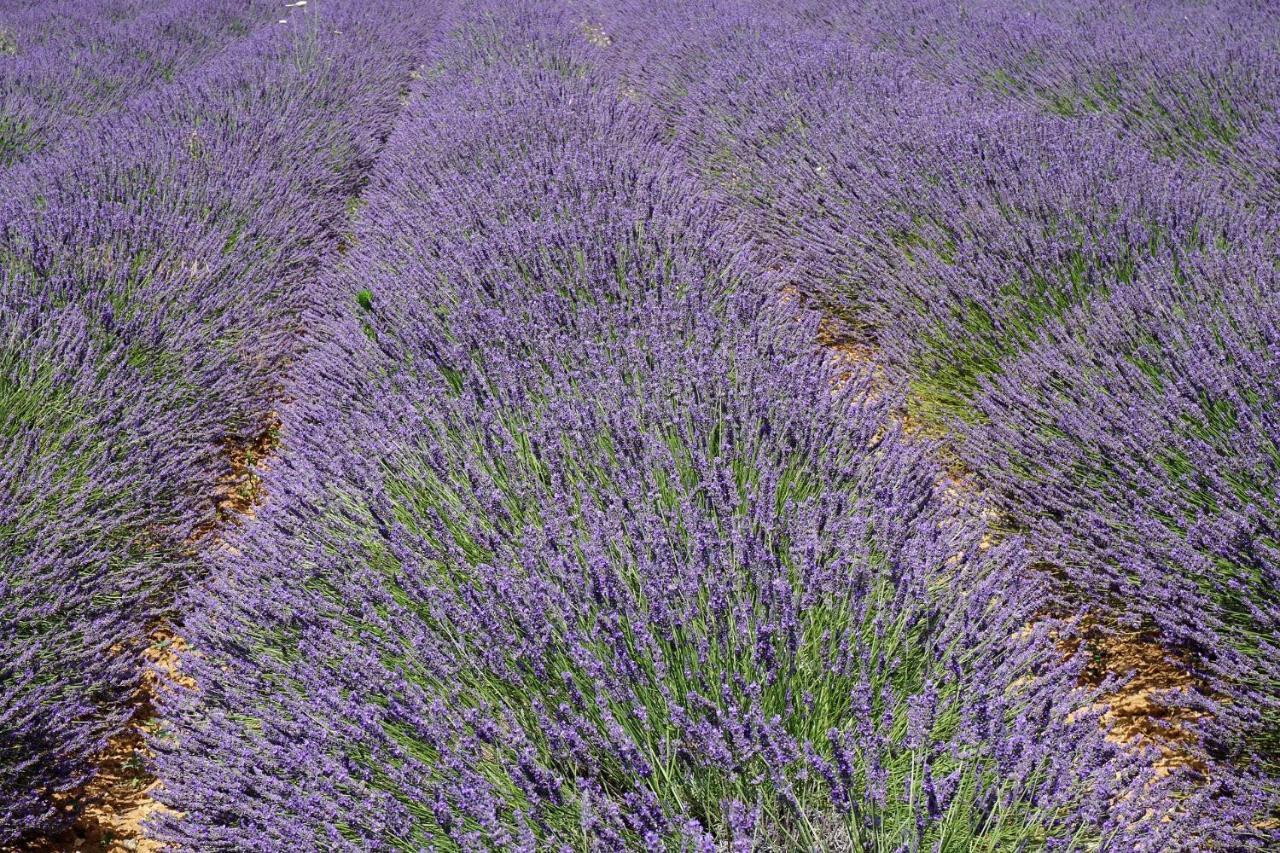 Appartement T2 Cosy Sur Aix Aix-en-Provence Exteriér fotografie